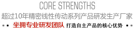 10年高端精密线性传动产品专业供应商,坐拥专业研发团队,打造无人能及的核心优势